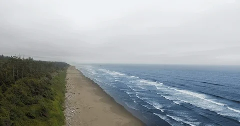 Drone view of forest and ocean at Ruby Beach, Olympic National Park, Washington Video stock 123816475