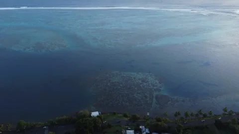 Drone view of forest and ocean in Tahiti Stock Footage