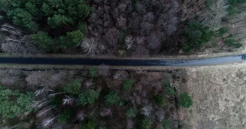 Drone view of forest and road with car Stock Footage 101354537