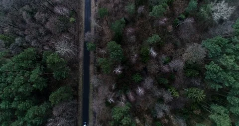 Drone view of forest and road with car Stock Footage 101365234
