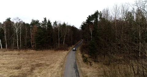 Drone view of forest and road with car Stock Footage 101365535
