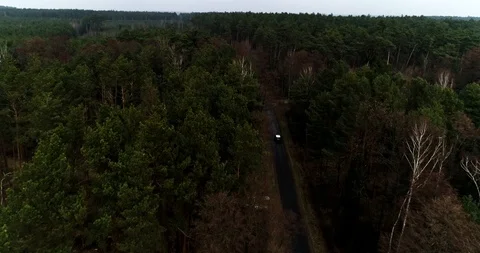 Drone view of forest and road with car Stock Footage 101365742