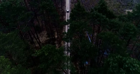 Drone view of forest and road with car Stock Footage 101365777