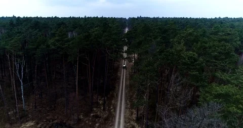 Drone view of forest and road with car Stock Footage 101365889