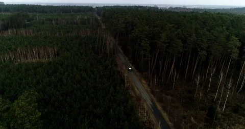 Drone view of forest and road with car Stock Footage 101366013