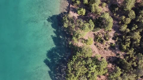 Drone View of Forest and Sea Coastline | Scenic Nature Landscape in 4K Stock Footage 162819829