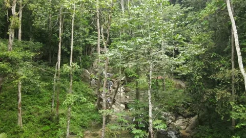Drone view Forest and Waterfall in Lenggeng Reserve Forest Stock Footage 148313302