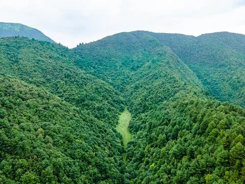 Drone view of forest in Bhuldol. Stock Photos
