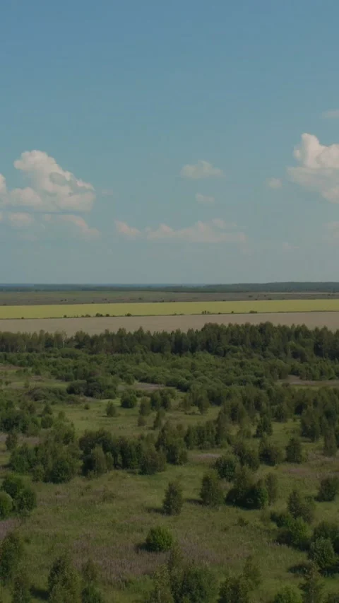Drone view of forest boundary and patchwork farmland in the Ural region Russia Stock Footage 346558706