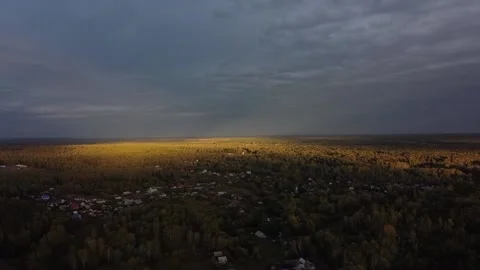 Drone view of the forest during the golden hour Stock-Footage 161447783