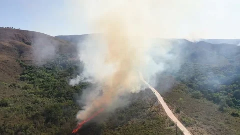 Drone view Forest fire in the cerrado biome with transition of the Vídeos de archivo 218083811