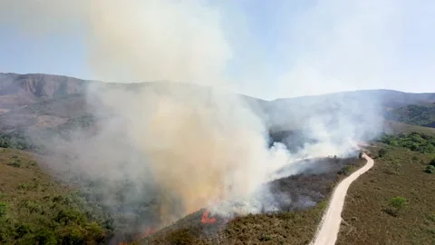 Drone view Forest fire in the cerrado biome with transition of the Stock Footage 218083928