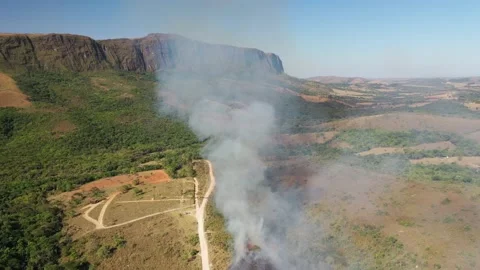 Drone view of Forest fire in Cerrado biome with Atlantic Forest transition Stock Footage 218084166