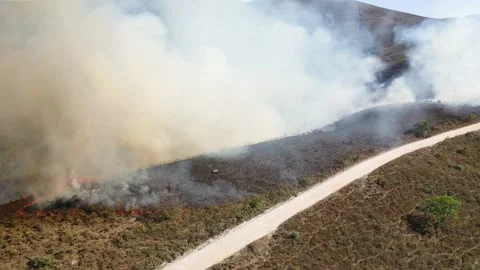 Drone view Forest fire in the cerrado biome with transition of the Stock Footage 218085311