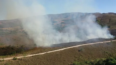 Drone view Forest fire in the cerrado biome with transition of the Stock Footage 218087439