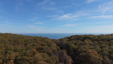 Drone View of Forest Hills and Horizon Over Calm Sea Stock Footage 320729808