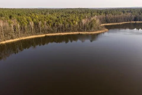Drone view of forest lake with reflection trees Stock Photos