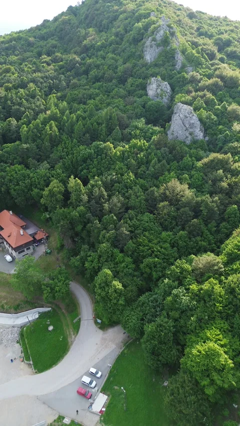 Drone View of Forest Landscape and Scenic Road 動画素材 337023586
