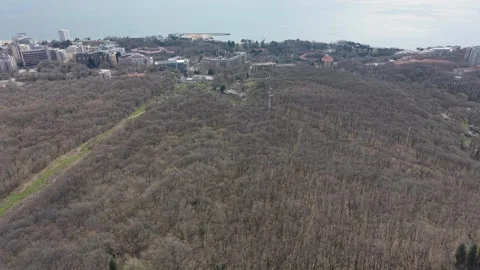 Drone view of forest road with gentle curves and terrain Stock-Footage 332772885