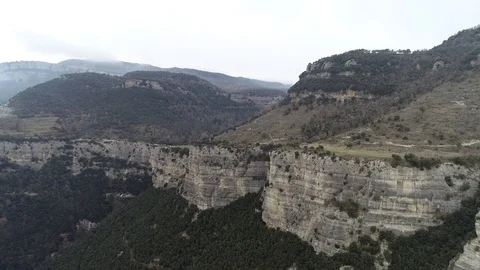 Drone view of forest in a rocky valley Stock Footage 102214586