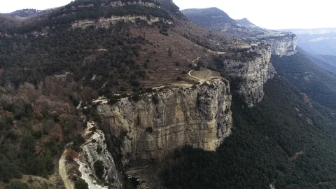 Drone view of forest in a rocky valley Stock Footage 102214606