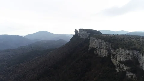 Drone view of forest in a rocky valley Stock Footage 102214610