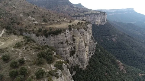 Drone view of forest in a rocky valley Stock Footage 102214661