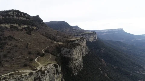 Drone view of forest in a rocky valley Stock Footage 102214681
