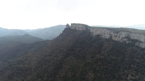 Drone view of forest in a rocky valley Stock Footage 102214693