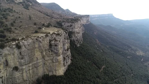 Drone view of forest in a rocky valley Stock Footage 102214696