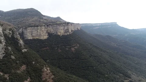 Drone view of forest in a rocky valley Stock Footage 102214712