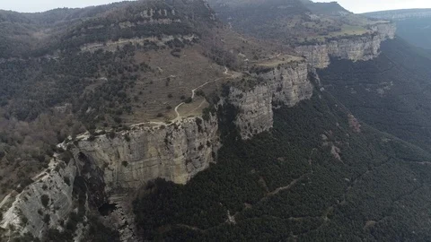 Drone view of forest in a rocky valley Stock Footage 102214800
