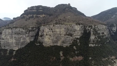 Drone view of forest in a rocky valley Stock Footage 102214814