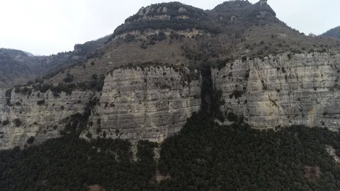 Drone view of forest in a rocky valley Stock Footage 102214818