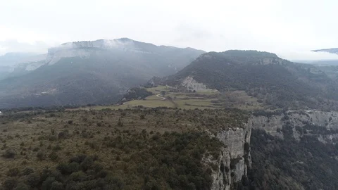 Drone view of forest in a rocky valley Stock Footage 102214901