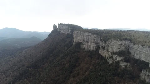 Drone view of forest in a rocky valley Stock Footage 102214996