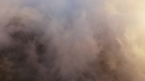 Drone view of forested mountain slopes inside clouds Stock Footage 314605570