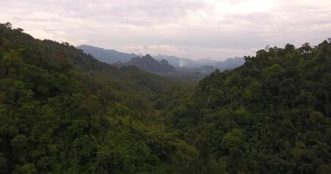 Drone view of Forested Mountains with Lush Green Trees Stock Photos