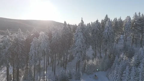 Drone view of a forested ski resort Stock Footage 273508545