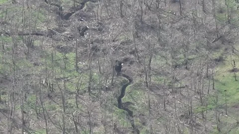 Drone View: FPV Strike on Defensive Trench in Wooded Frontline Stockbeeldmateriaal 332355757