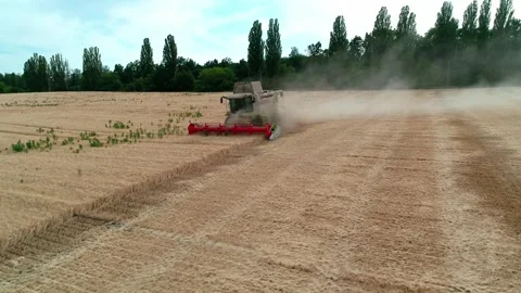 Drone view in front of combine harvester harvests wheat in cloudy weather. Wide 스톡 동영상 248050311