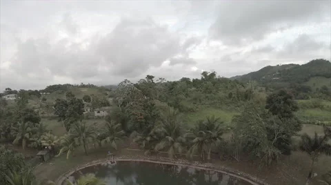 Drone view of garden grounds 3 Stock Footage 62526690