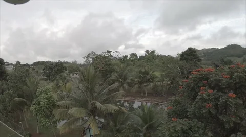 Drone view of garden grounds 7 Stock Footage 62526970