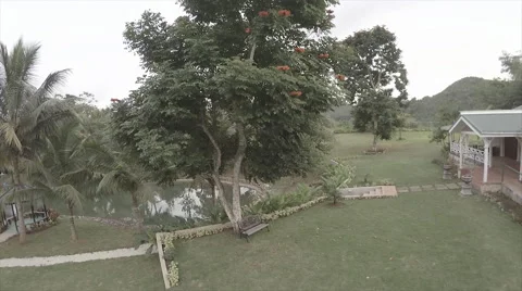 Drone view of garden grounds 7 Stock Footage 62527032