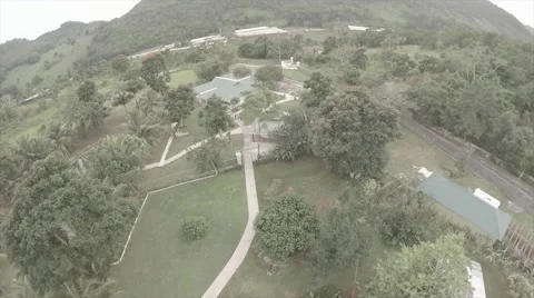 Drone view of garden grounds Stock Footage 62526678