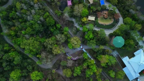 Drone view of Gatorland train moving through forest Stock-Footage 335195030