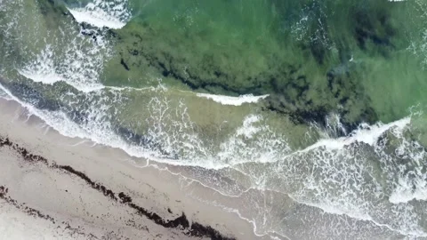 Drone view of German Baltic Sea beach Stock Footage 221767743