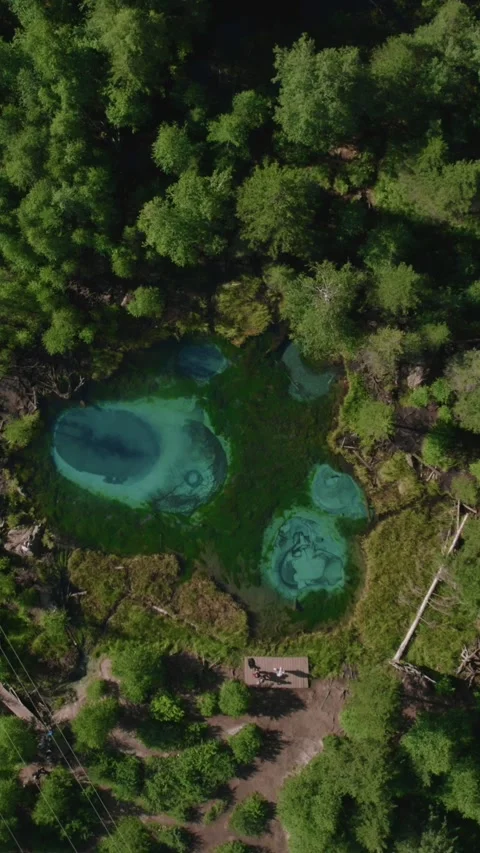 Drone view of Geyser Lake turquoise spring amid taiga forest in Altai Russia Stock Footage 346556166