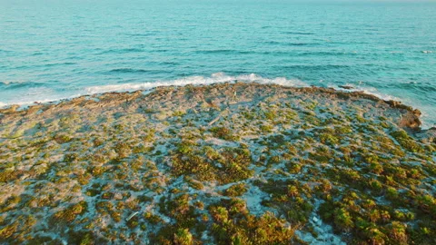 Drone view of girl walking on small tropical peninsula covered with vegetation Stock Footage 336482877