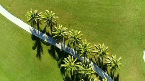 Drone view of a golf course Stock Footage 105422260